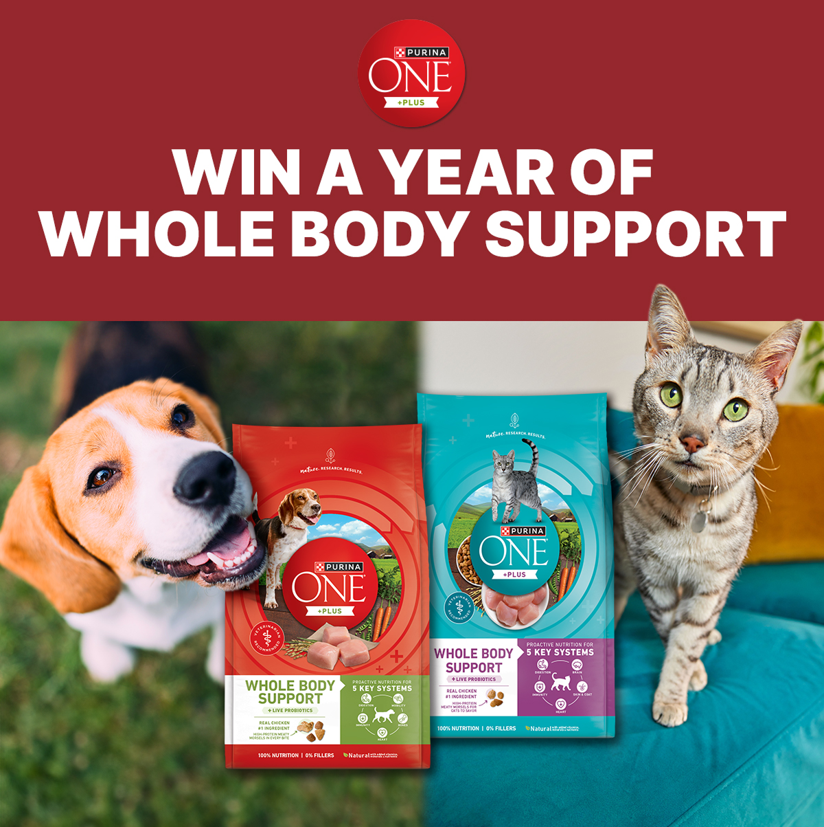 Win a Year of Whole Body Support