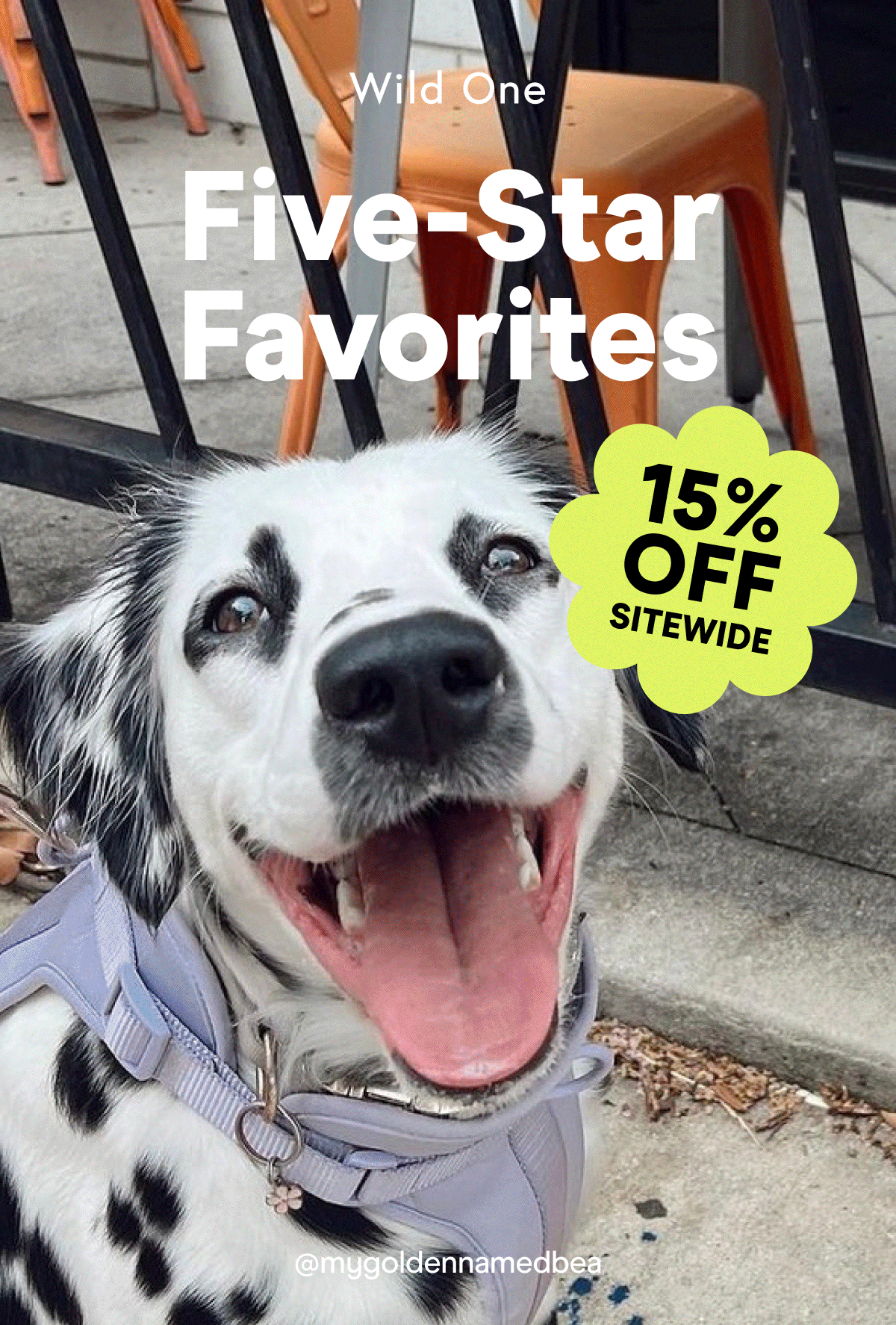 Five-Star Favorites