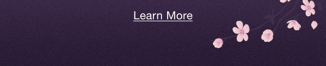 banner2learn0more