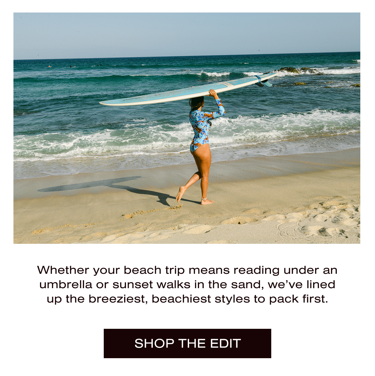 Saint Bernard Surf Club