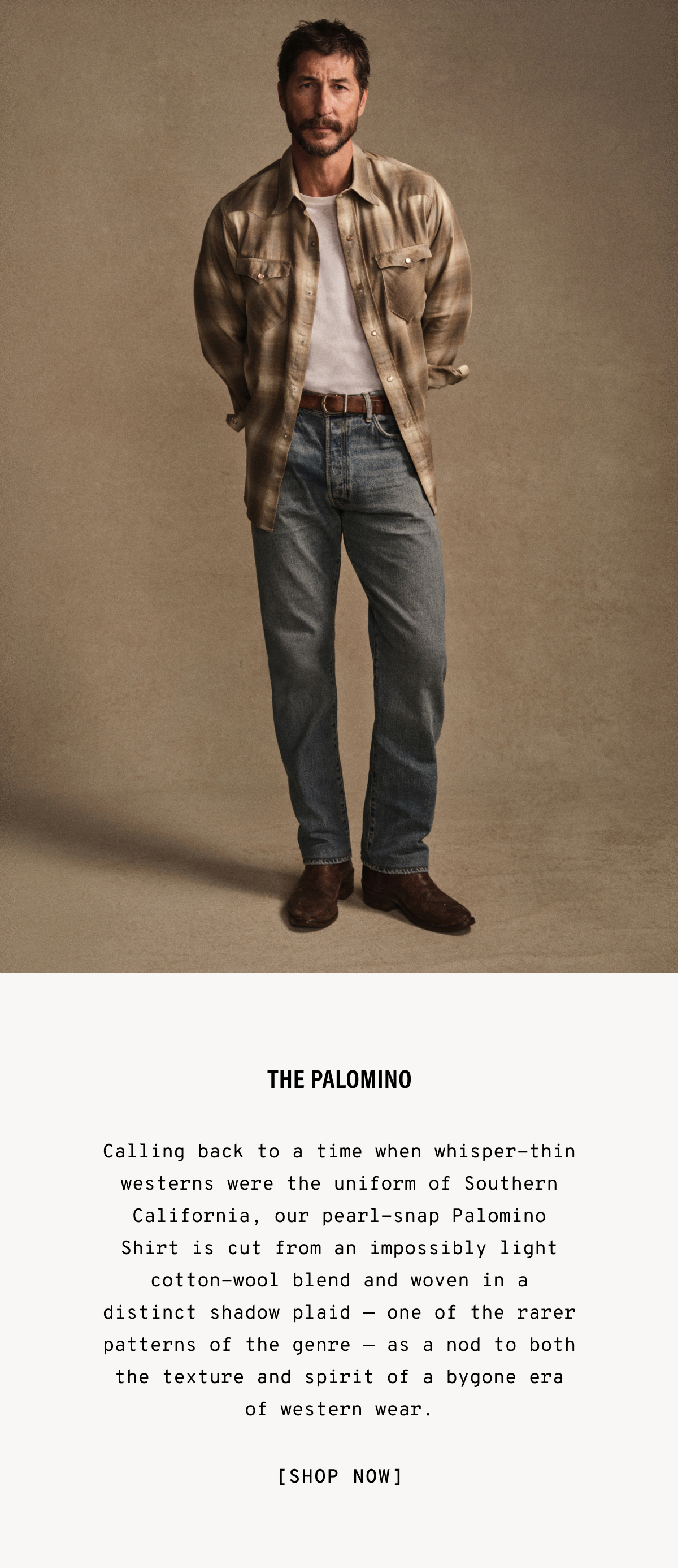 Palomino