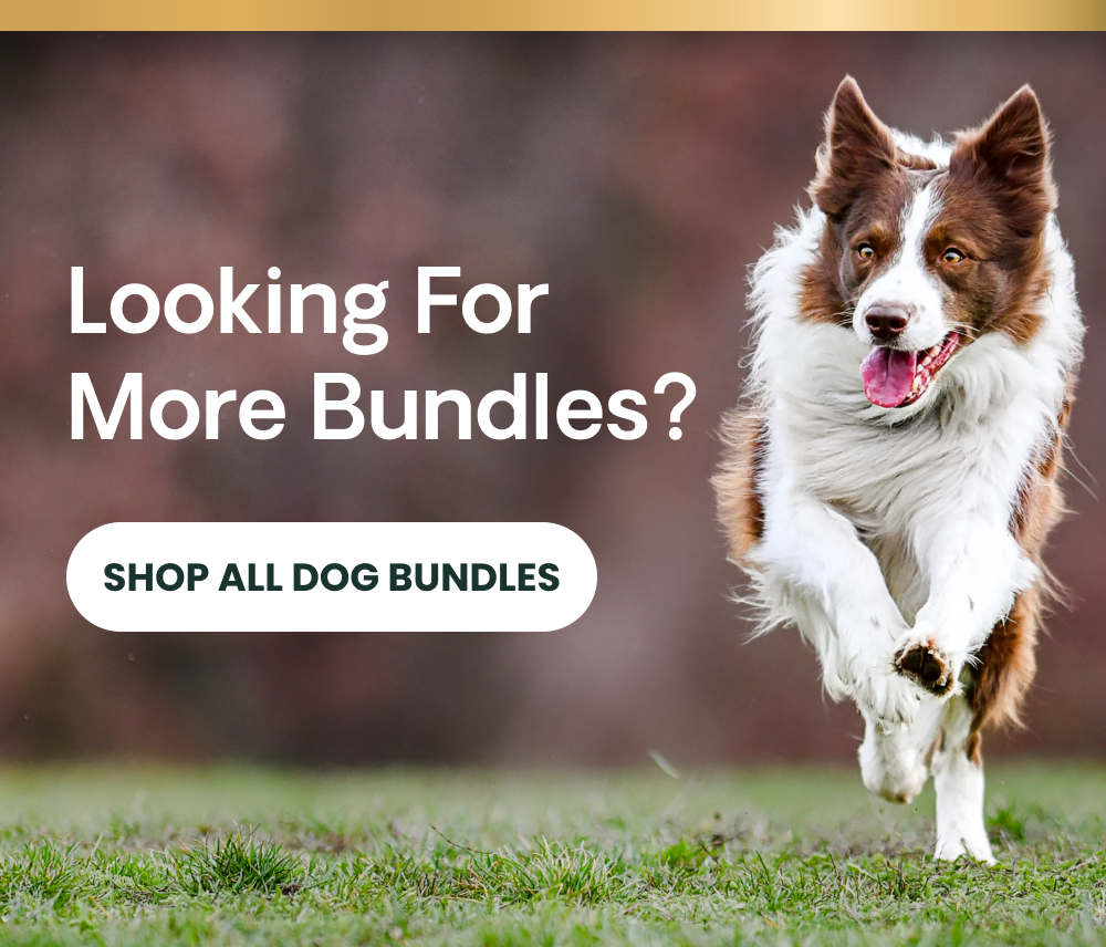 SHOP ALL DOG BUNDLES