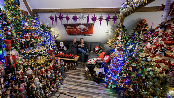 Two people sit in a room with multiple Christmas trees.