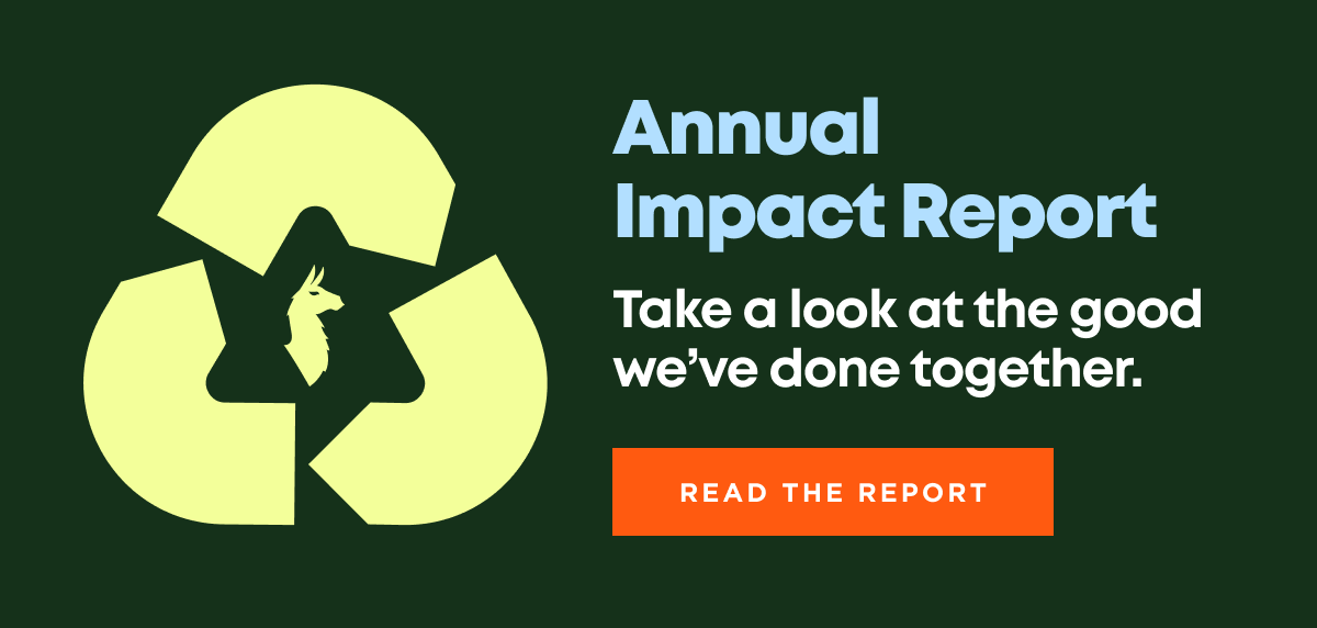 Read the Report