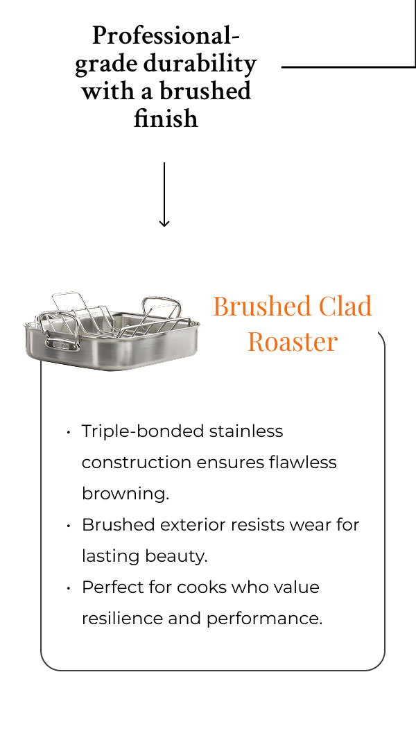 Brushed Clad Roaster