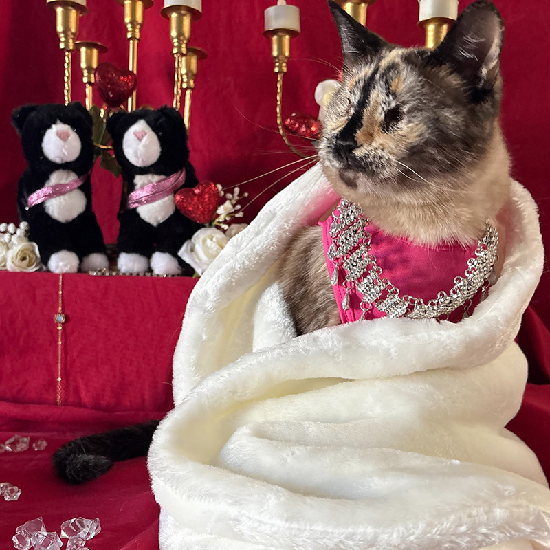 Poet wrapped in a blanket