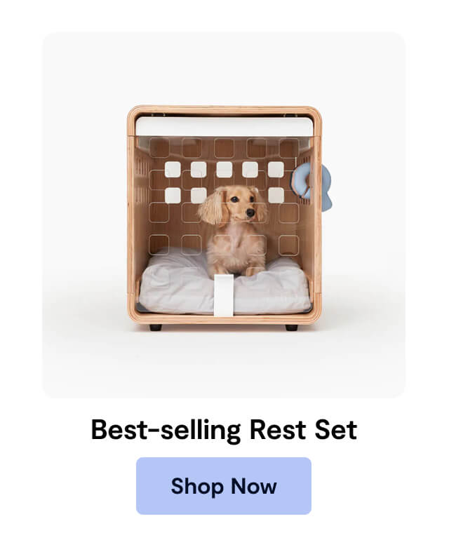 Best-Selling Rest Set