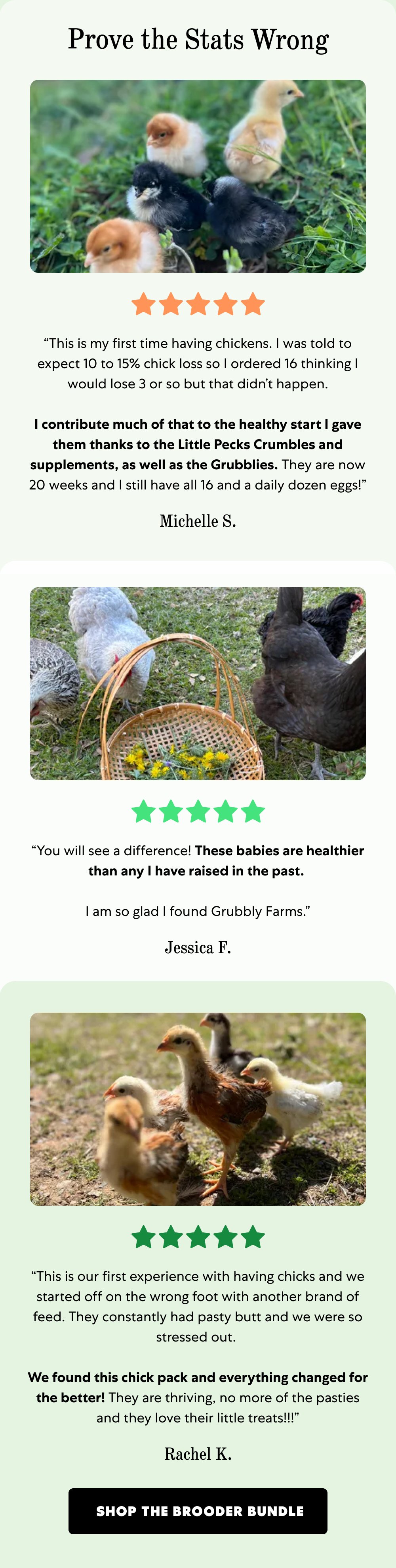 Prove The Stats Wrong [ SHOP THE BROODER BUNDLE ]