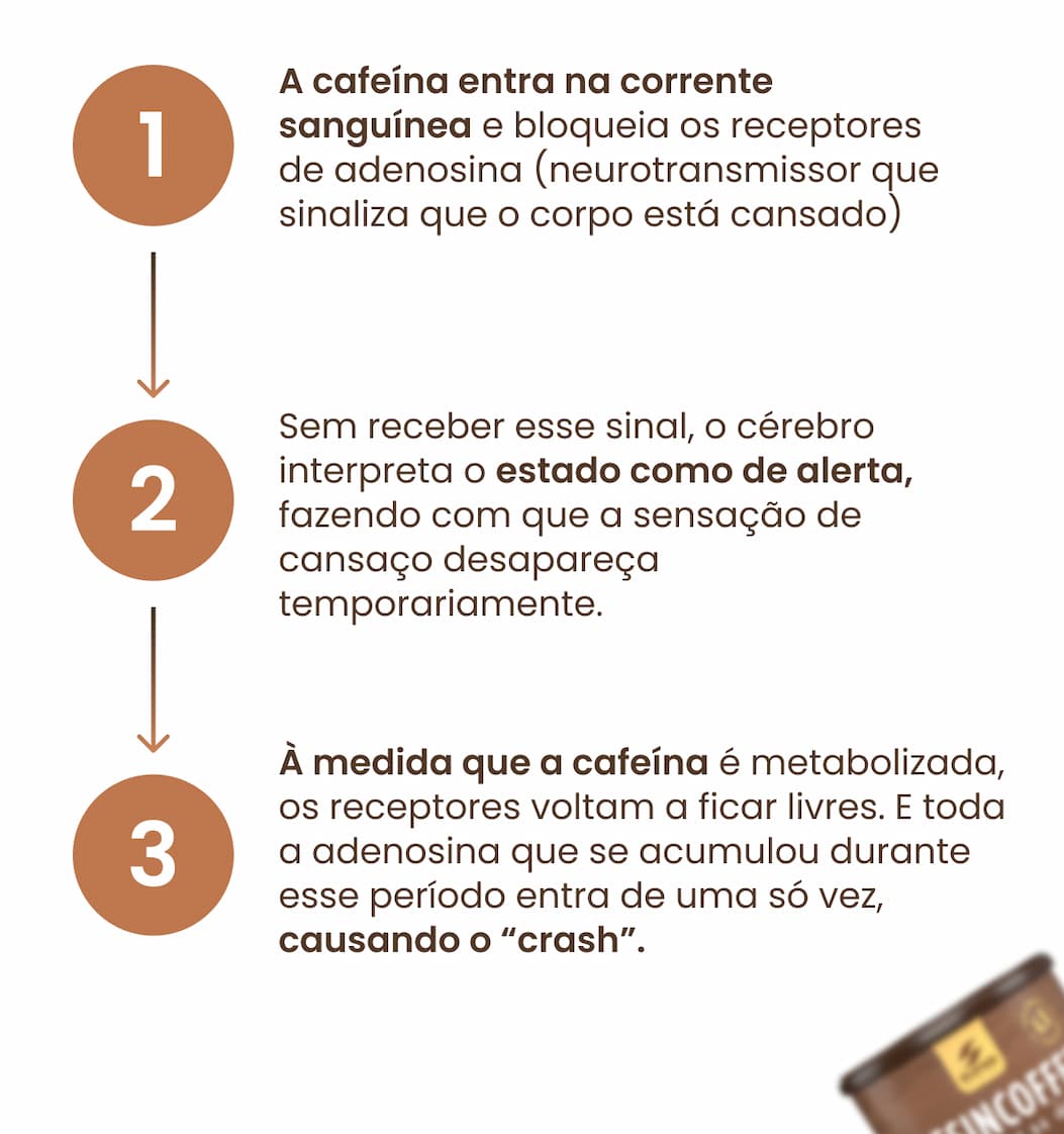 Cafeina no cérebro