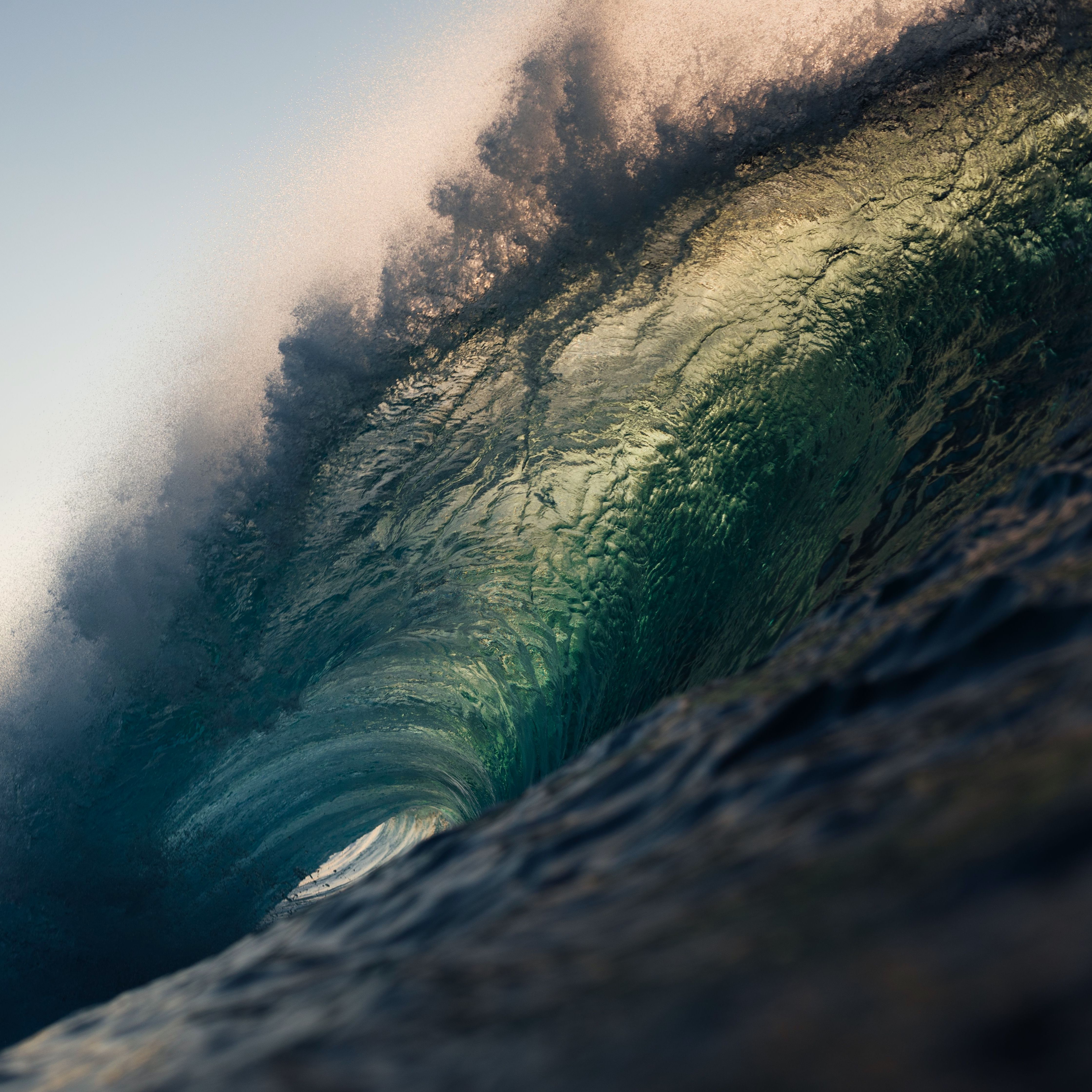 A big ocean wave with sunlight coming through it. 
