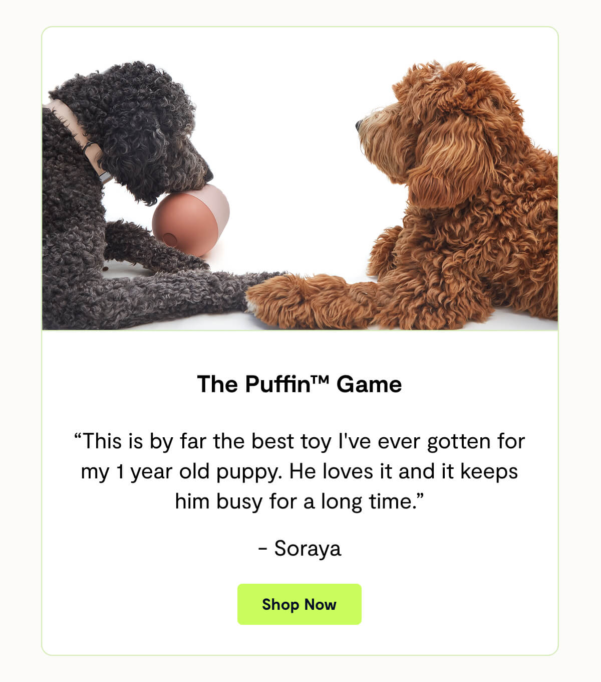 The Puffin™ Game