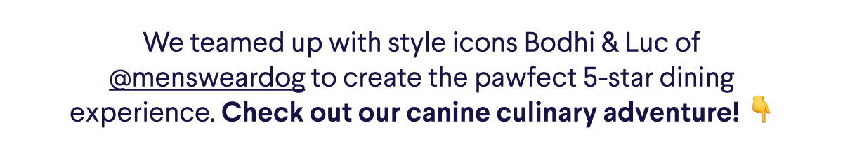 We teamed up with style icons Bodhi & Luc of @mensweardog to create the pawfect 5-star dining experience. Check out our canine culinary adventure! 👇