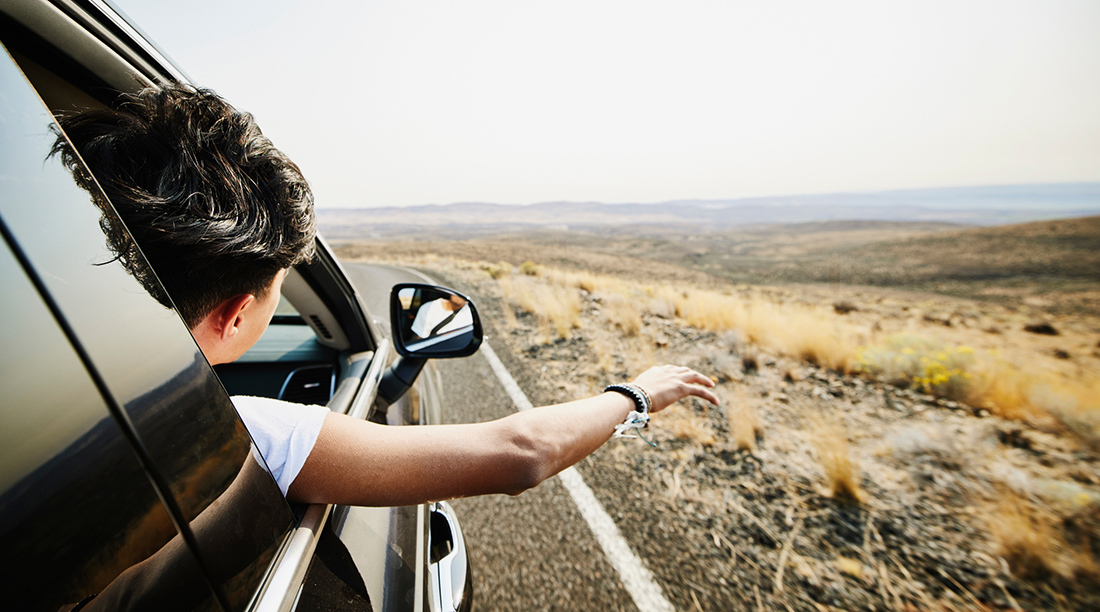 Image Description: Passenger in a moving car with their head out the window to enjoy the breeze
