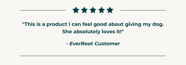 5 Star Ratings from EverRoot Customers