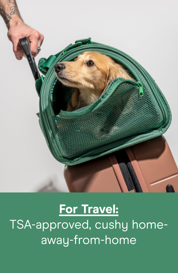 For Travel: TSA-approved, cushy home-away-from-home