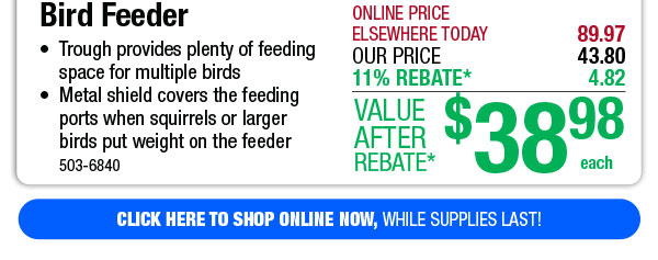 Squirrel-Resistant Bird Feeder - FREE Shipping to Store!