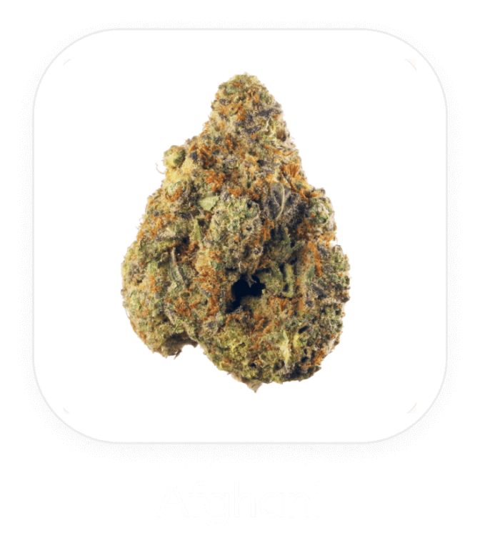 Afghani