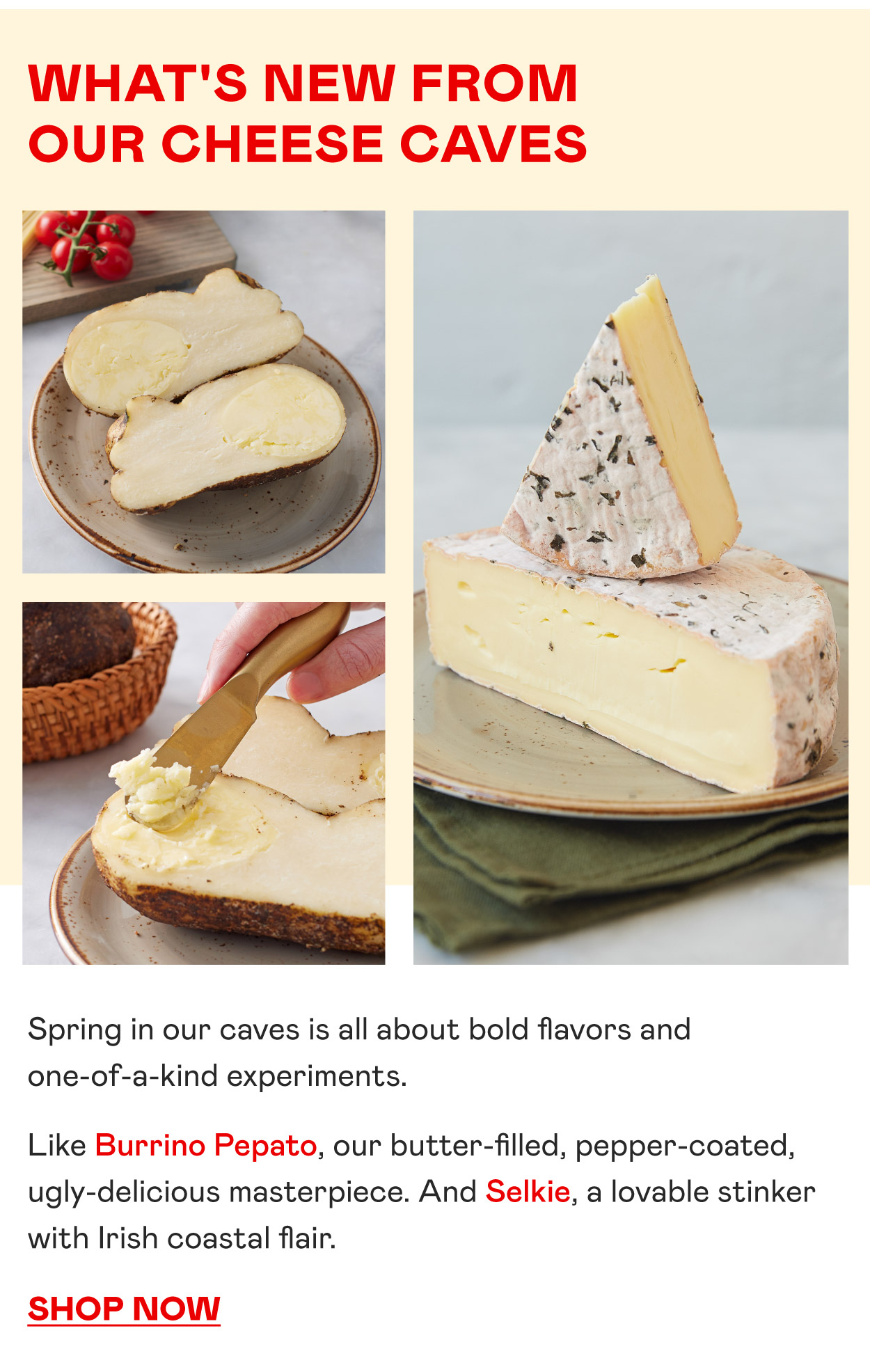 New Cave Aged Cheeses