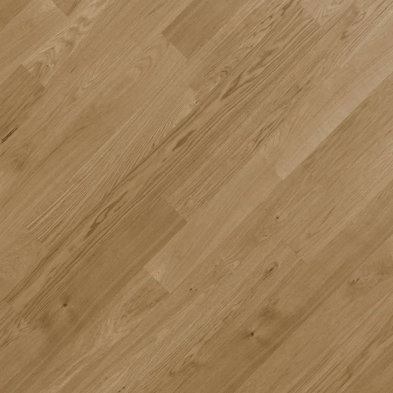 Image of Anza
