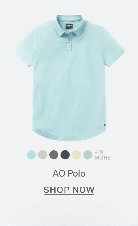 AO Polo