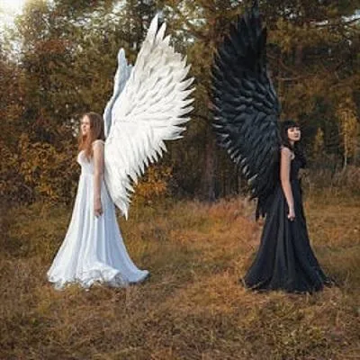 Image of Halloween 3D Angel Devil Big Wings
