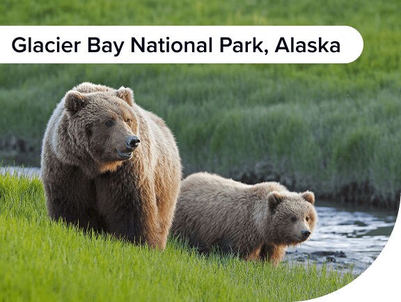 Glacier Bay National Park, Alaska