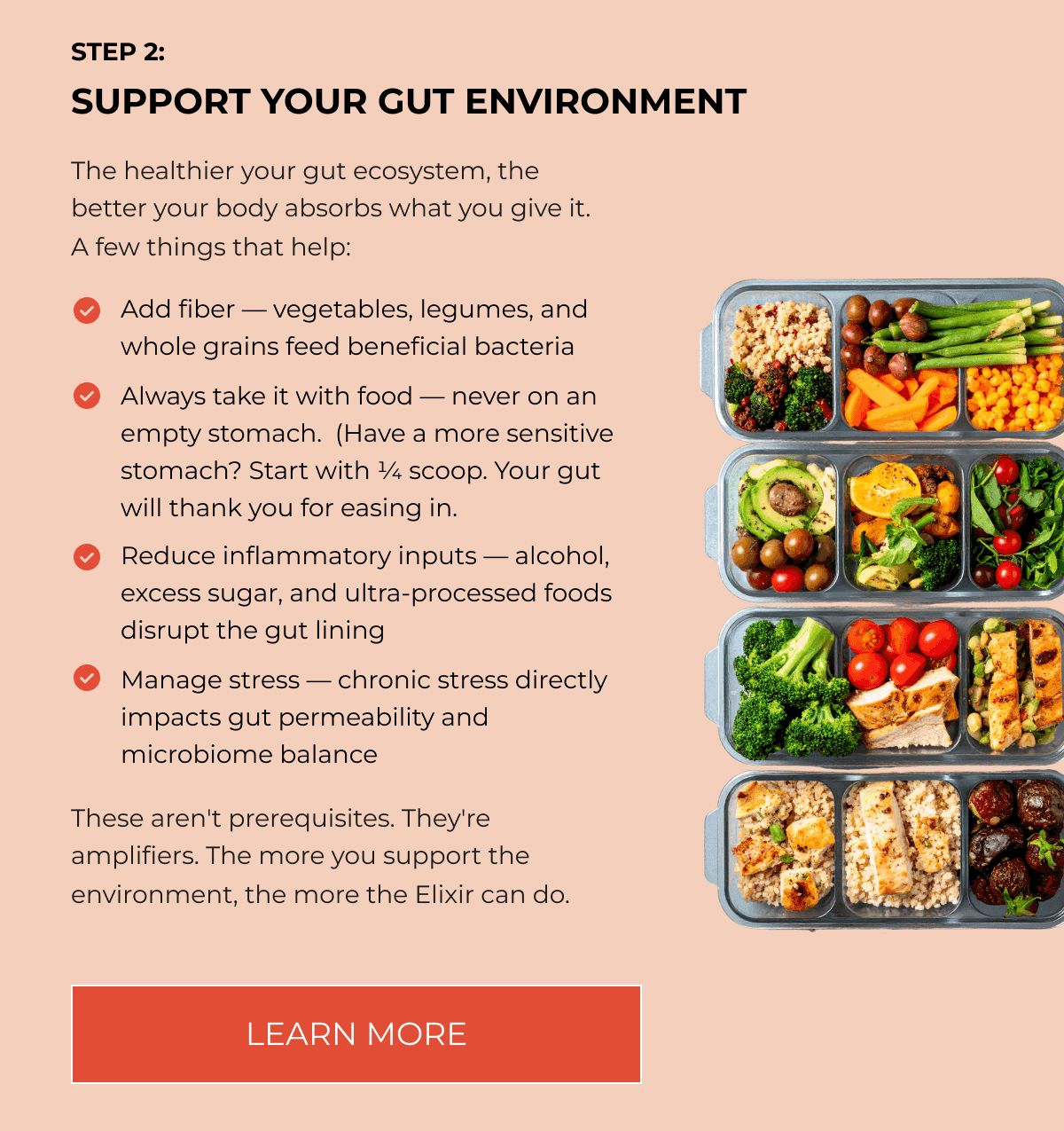 STEP 2: SUPPORT YOUR GUT ENVIRONMENT