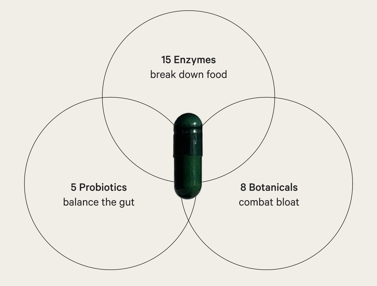 15 Enzymes break down food