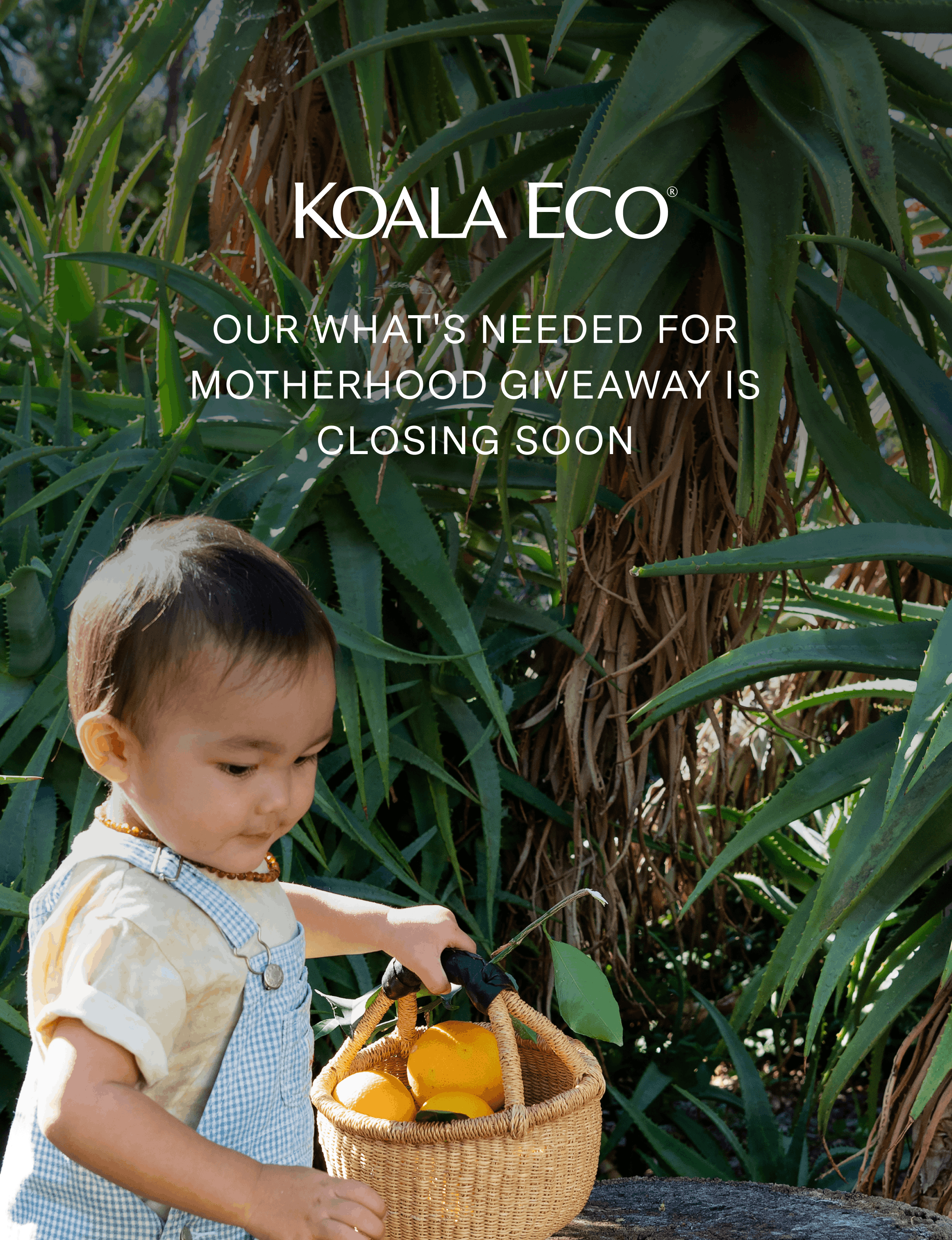 Our What's Needed for Motherhood Giveaway is closing soon