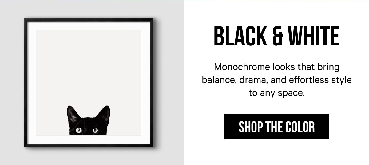 Black & White: Monochrome looks that bring balance, drama, and effortless style to any space.