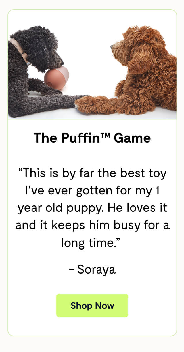 The Puffin™ Game