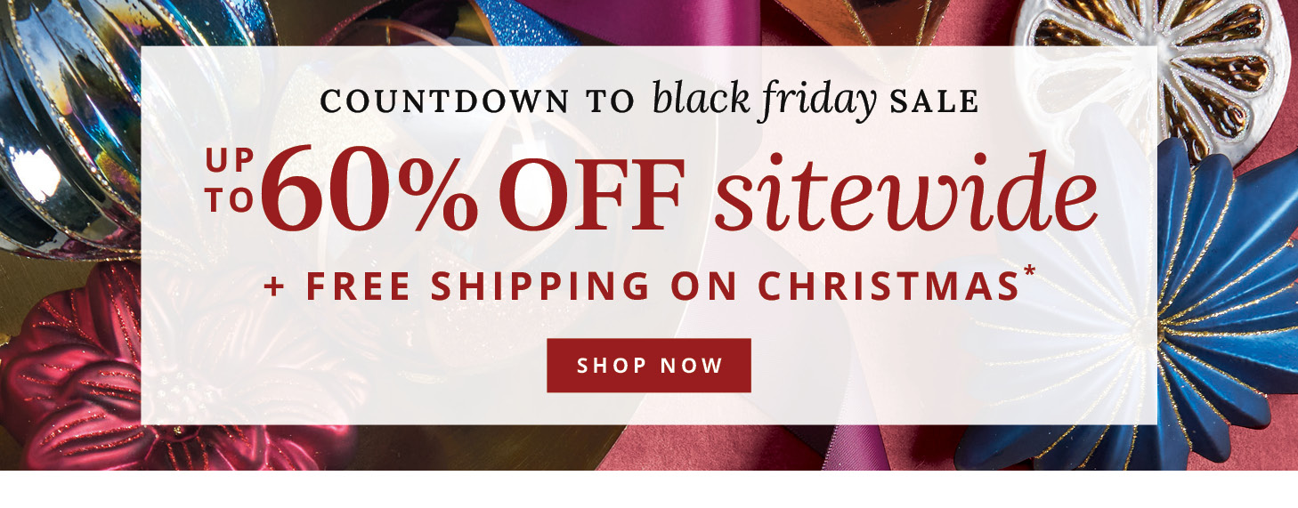 Up to 60% Off sitewide + Free Shipping on Christmas*
