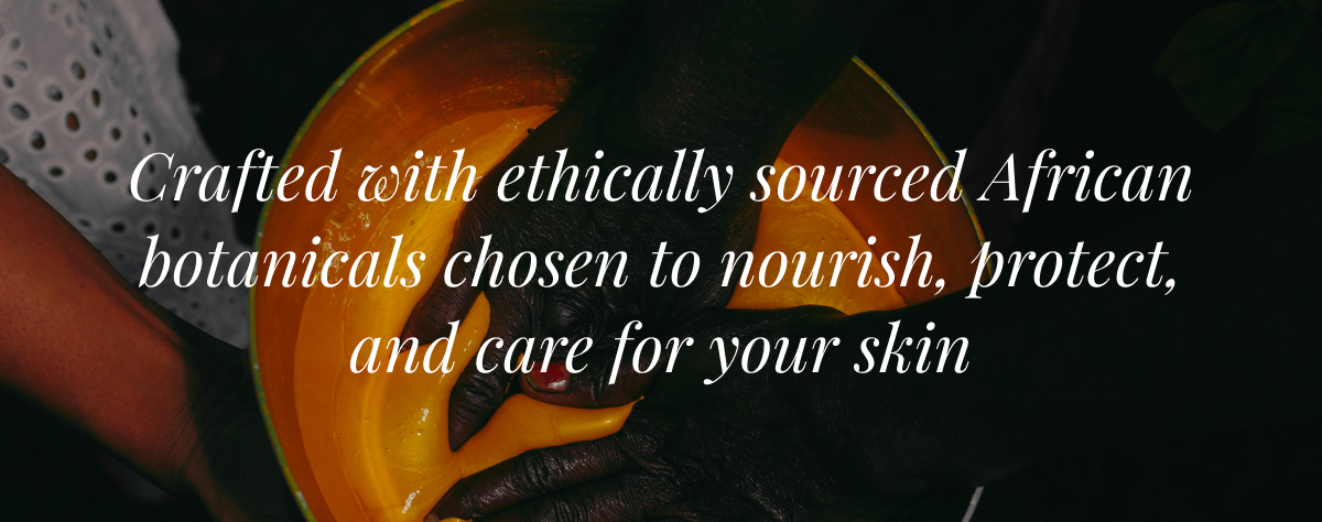 Our Ingredients