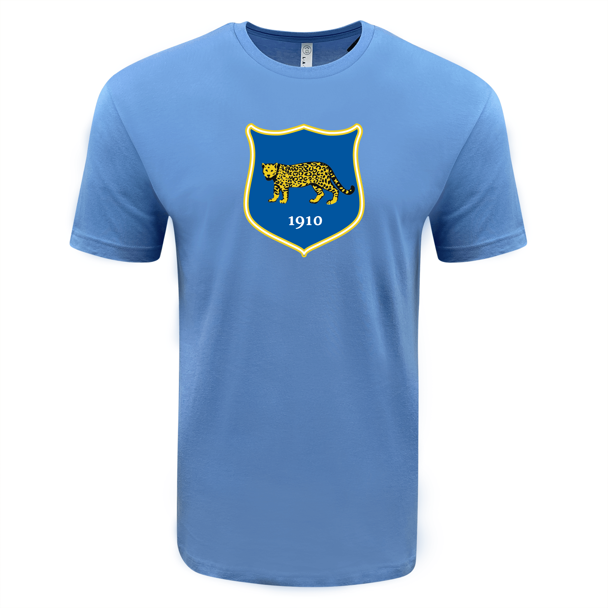 Argentina rugby jersey