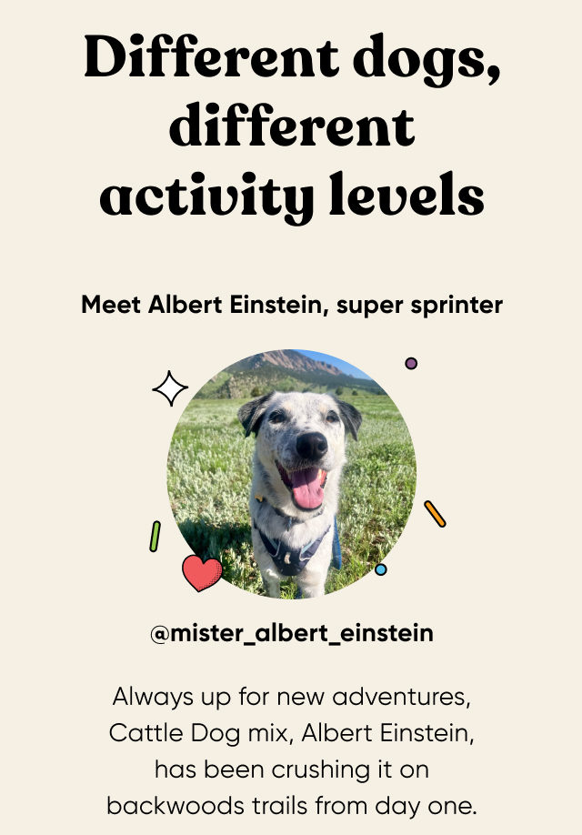 Meet Albert Einstein, super sprinter