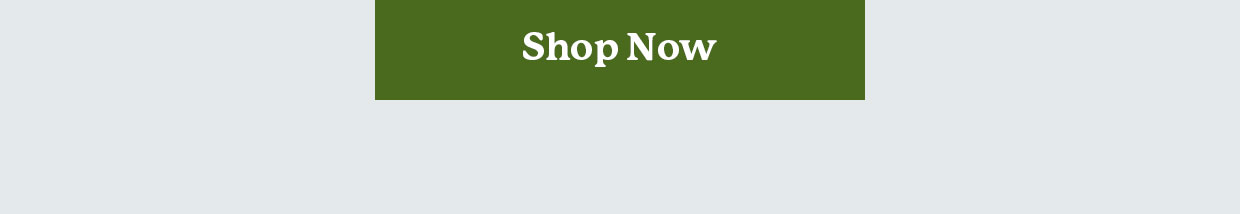 Shop Now >>