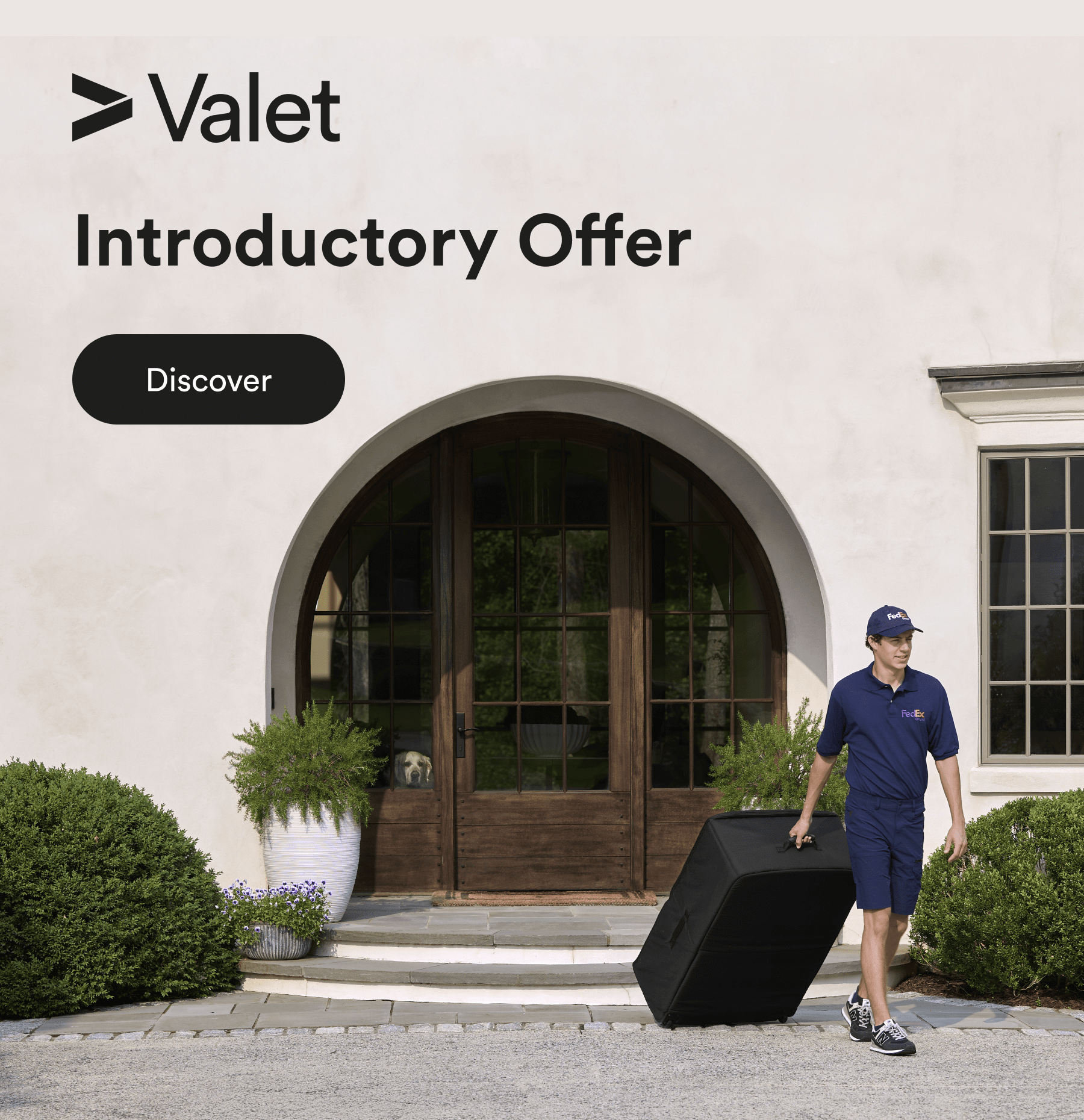 introductory offer. - discover