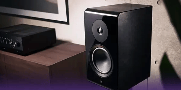 NS-800A Hi-Fi Speakers