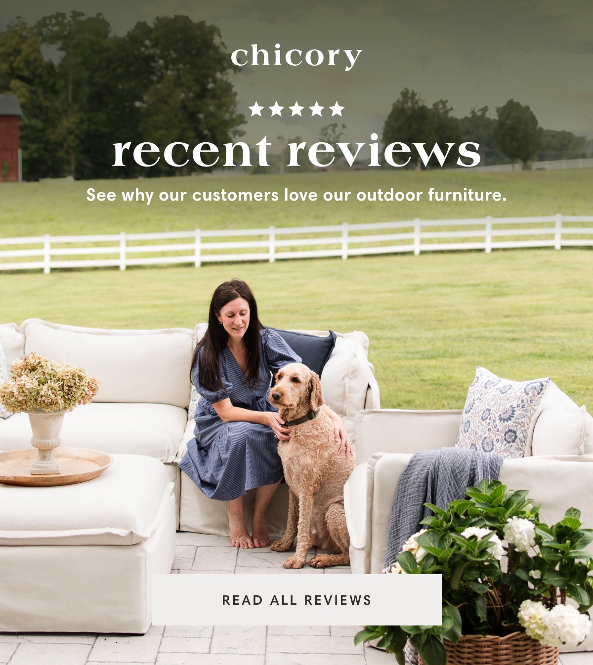 Recent reviews