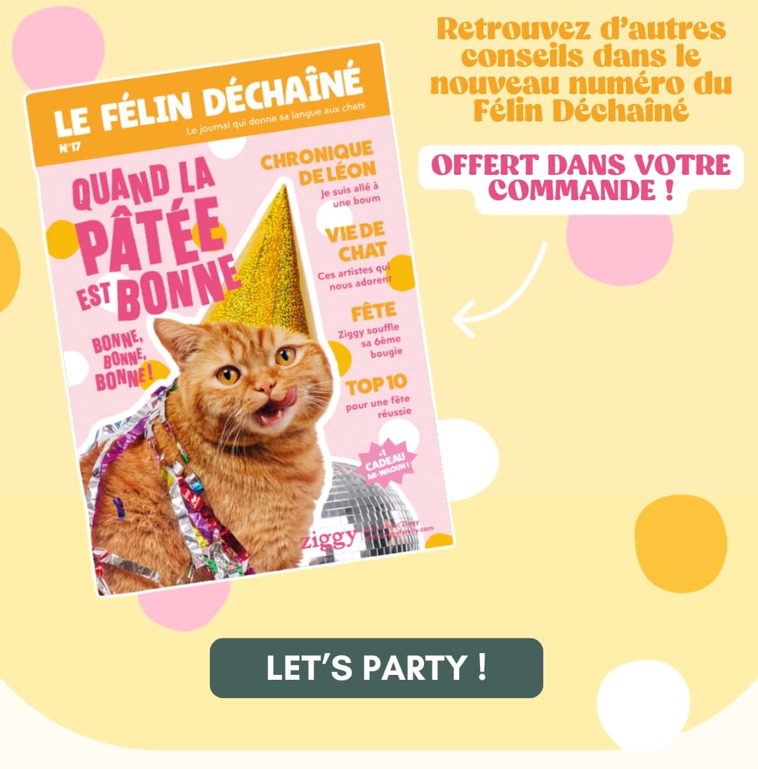 Le Félin Déchaîné