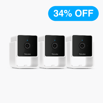 Cam 3 Pack