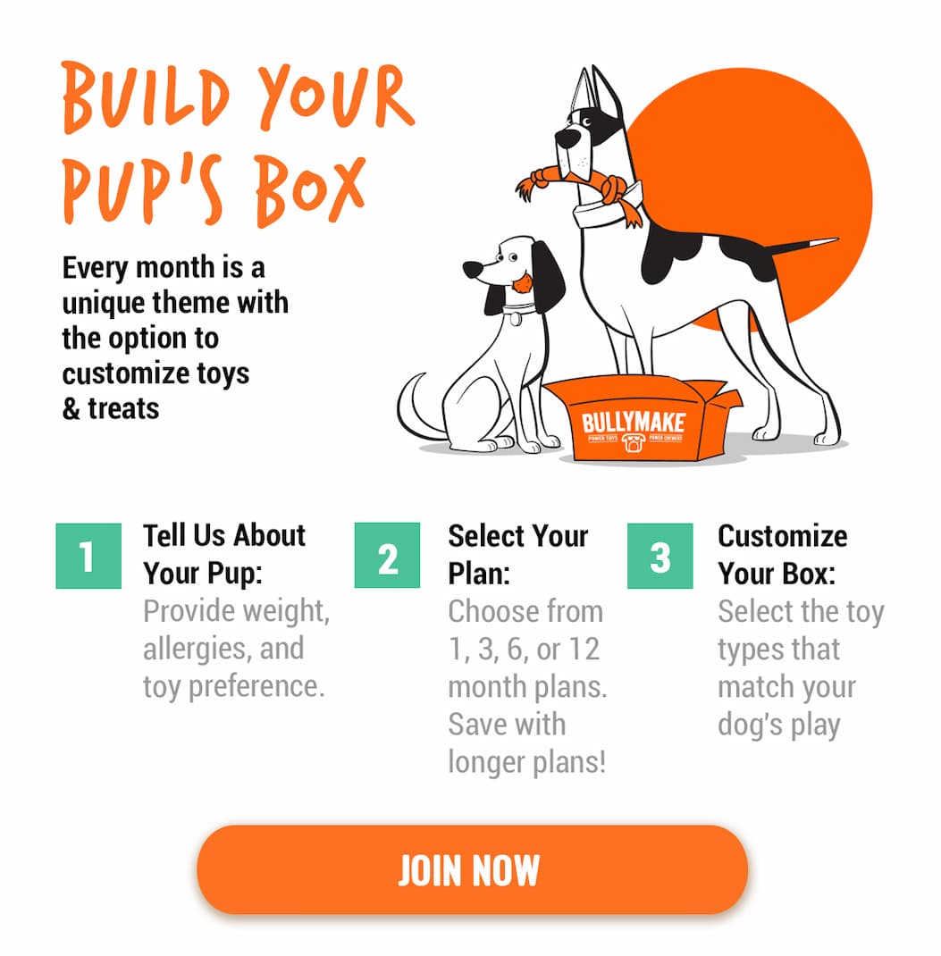 Bullymake Dog Toy Subscription Box