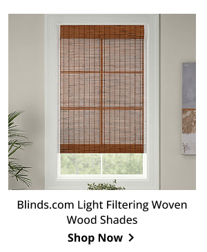 Blinds.com Light Filtering Woven Wood Shades | Shop Now >