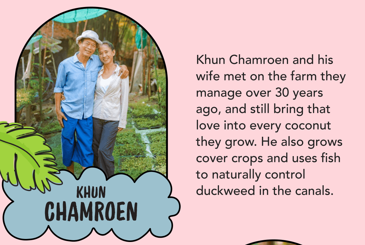 Khun Chamroen | Khun Chamroen and his wife met on the farm they manage over 30 years ago, and still bring that love into every coconut they grow. He also grows cover crops and uses fish to naturally control duckweed in the canals.