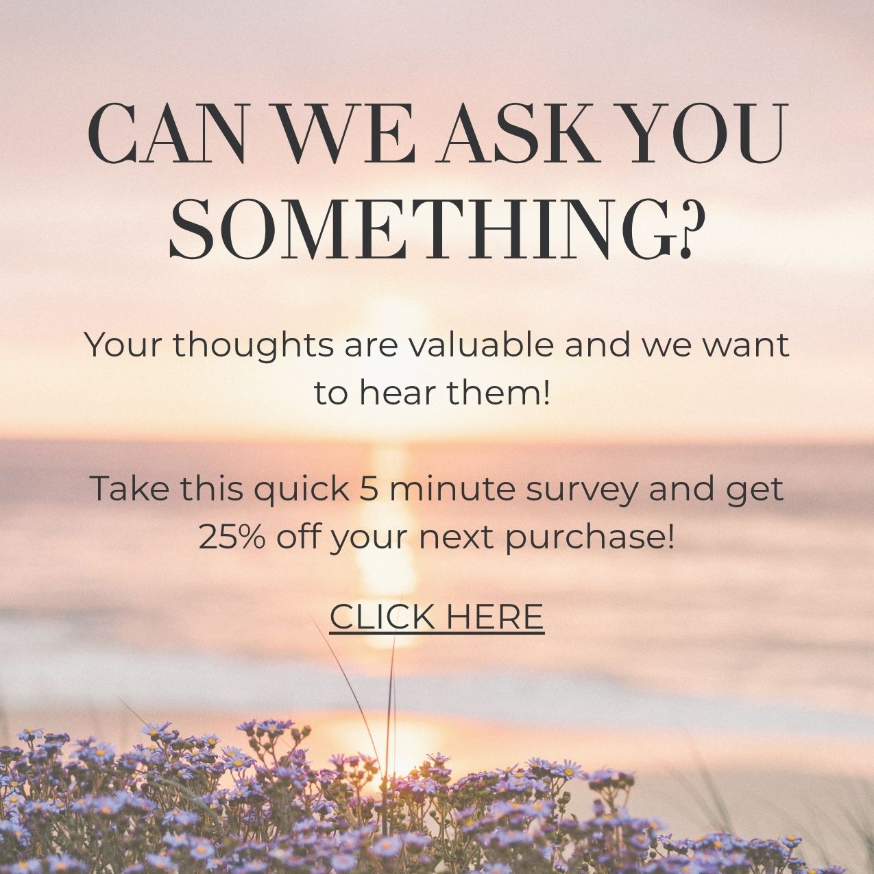 Take this survey and get 25% off your next purchase!