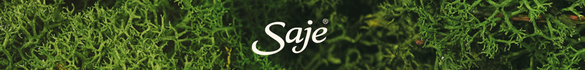 Saje Natural Wellness