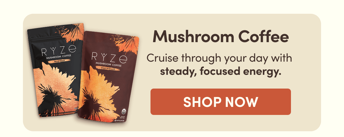 Mushroom Coffee | Cruise through your day with steady, focused energy. | Shop Now