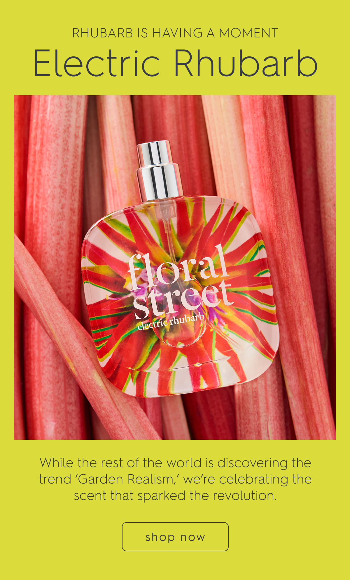 Electric Rhubarb Eau de Parfum