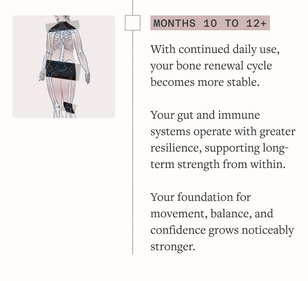 Months 10–12+ — Sustained strength:  With continued daily use, your bone renewal cycle becomes more stable. Your gut and immune systems operate with greater resilience, supporting long-term strength from within.