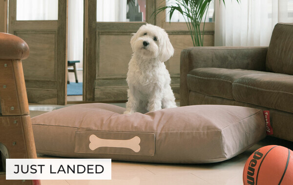 Stonewashed Dog Beds